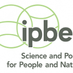 logo_ipbes_0