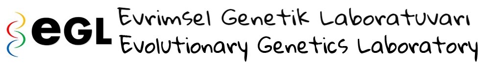 Evrimsel Genetik Laboratuvarı / Evolutionary Genetics Laboratory / eGL